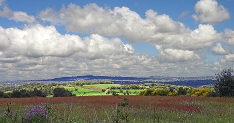 Paisaje portugués