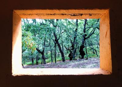 ventana a la naturaleza